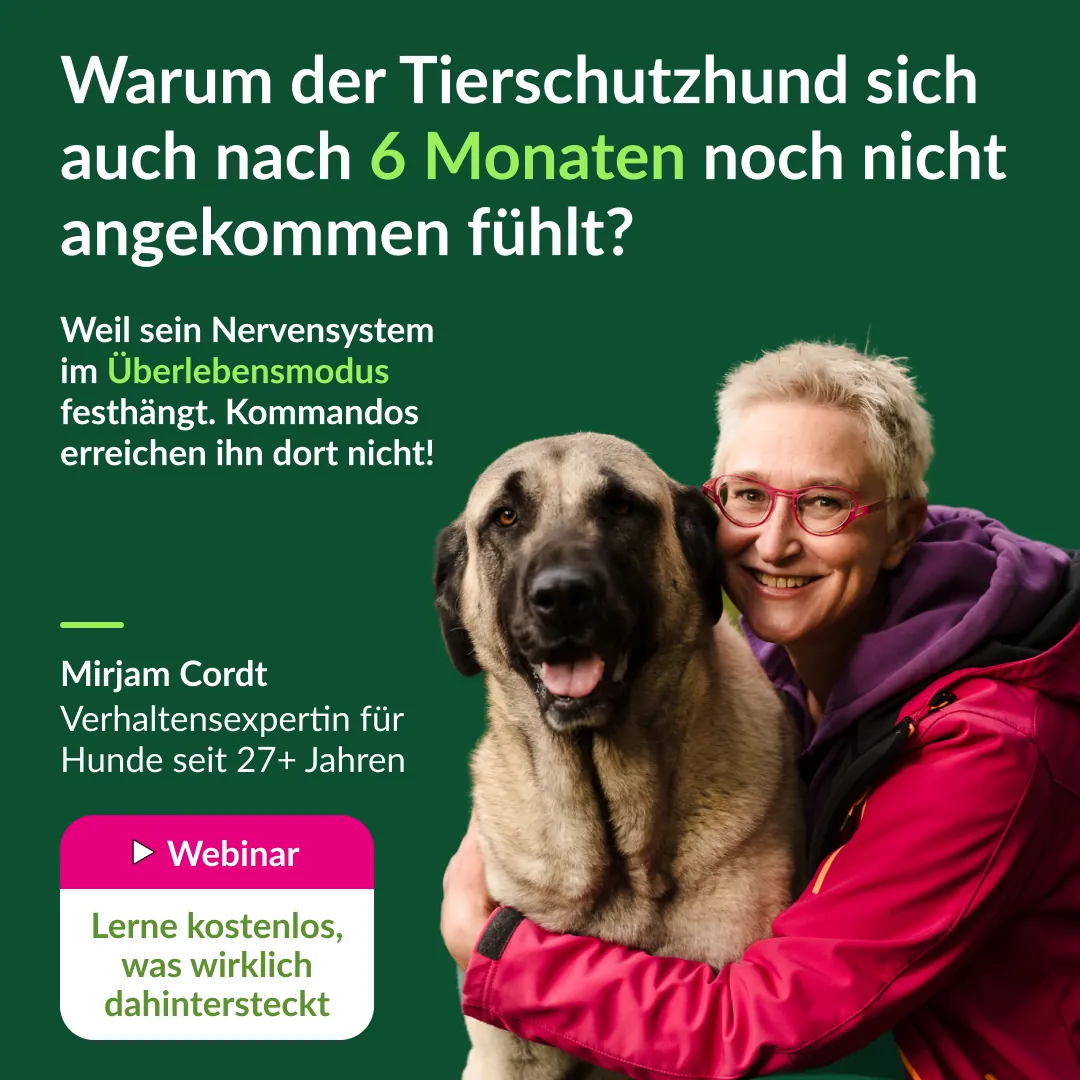 Ad variant 3. Hook: the expert, with her own dog.